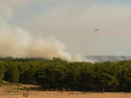 Keşan’daki orman yangını kontrol altına alındı