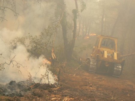 Keşan’daki orman yangını kontrol altına alındı