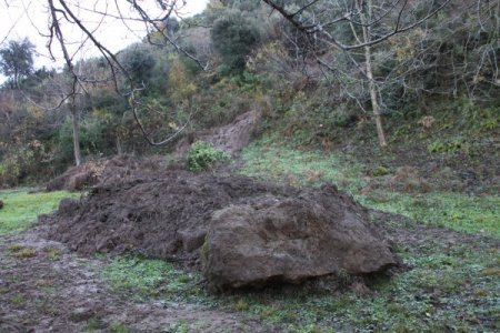 Kesilen ağaçlar ve yapılan yolun heyelana sebep olduğu iddia ediliyor