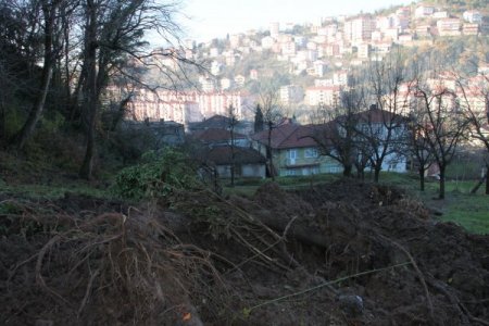 Kesilen ağaçlar ve yapılan yolun heyelana sebep olduğu iddia ediliyor