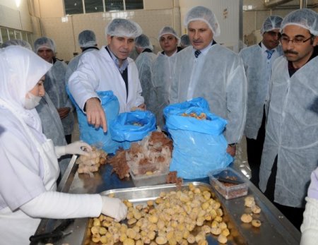 Kestane şekeri ile ünlü Bursa’ya 100 bin kestane fidanı dikilecek