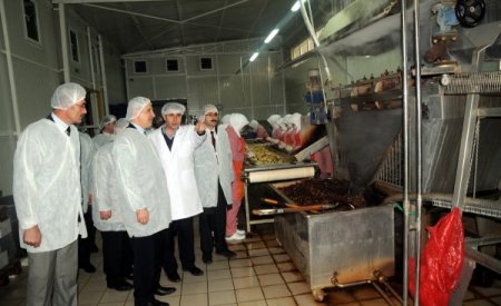 Kestane şekeri ile ünlü Bursa’ya 100 bin kestane fidanı dikilecek