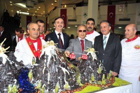 Kestane tanıtımına festival desteği