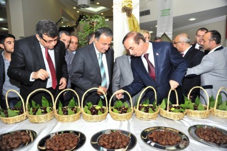 Kestane tanıtımına festival desteği