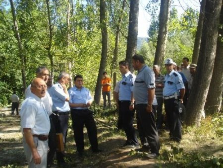 Kestiği Ağacın Altında Kaldı