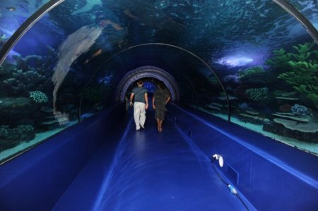 Kılıçdaroğlu, yarın Antalya'da Dev Akvaryum'un açılışını yapacak