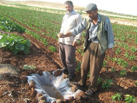Kilisli Çiftçilerin Başı Tarla Fareleriyle Dertte
