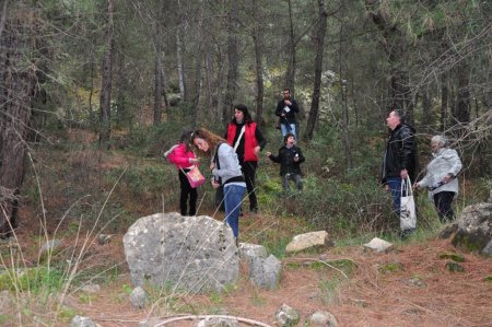 Kilosu 100 TL'yi bulan kuzugöbeği mantarı köylülerin geçim kaynağı oldu