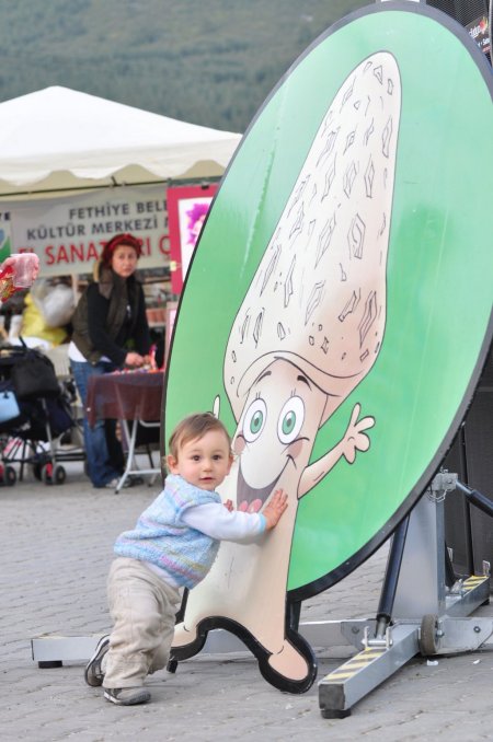 Kilosu 100 TL'yi bulan kuzugöbeği mantarı köylülerin geçim kaynağı oldu