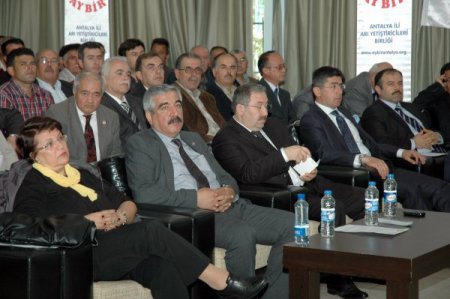 Kimyasal İlaçlar Arıların Hafızasını Bozdu, Bal Üretimi Yüzde 30 Düştü