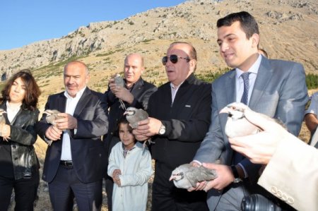 Kınalı Keklikler Doğaya Salındı, Avcılar Uyarıldı