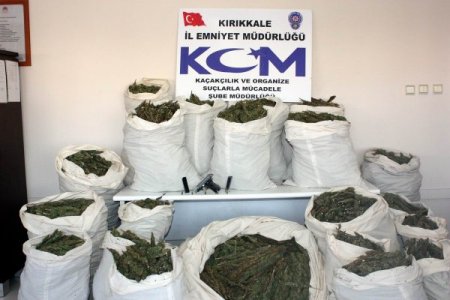 Kırıkkale’de 252 Kilo Esrar Ele Geçirildi