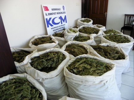 Kırıkkale’de 430 kilo esrar ele geçirildi