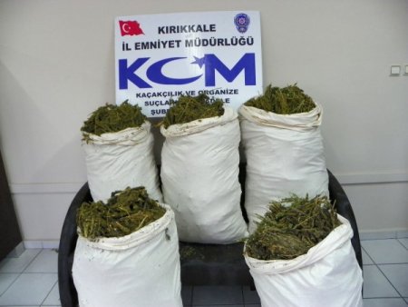 Kırıkkale’de 80 kilo esrar ele geçirildi
