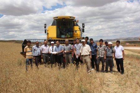 Kırıkkale’de Hasat Dönemi Başladı
