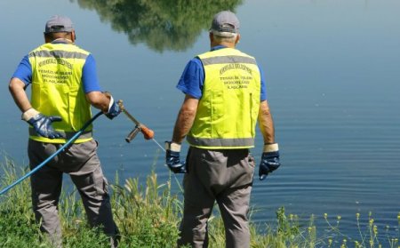 Kırıkkale’de haşerelere karşı mücadele devam ediyor