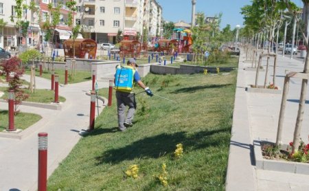 Kırıkkale’de haşerelere karşı mücadele devam ediyor