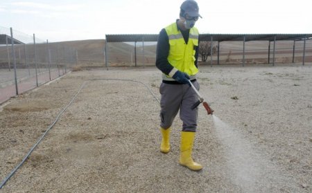Kırıkkale’de haşerelere karşı mücadele devam ediyor