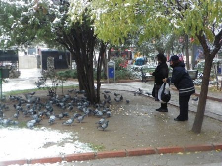Kırıkkale’de ilk kar yağdı, aç kalmasın diye kuşlar beslendi