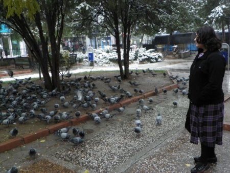 Kırıkkale’de ilk kar yağdı, aç kalmasın diye kuşlar beslendi