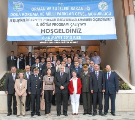 Kiriş: Sanayileşme ile doğada birçok canlı türü yok olmuştur