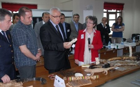 Kiriş: Sanayileşme ile doğada birçok canlı türü yok olmuştur