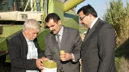 Kırkağaç'ta Mısır Hasadı Başladı