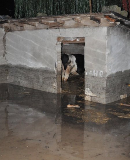 Kırklareli'de sel felaketi: 1 ölü, 2 kayıp