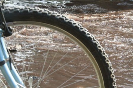 Kirletilen Nilüfer Çayı'nın kurtarılması için pedal çevirdiler