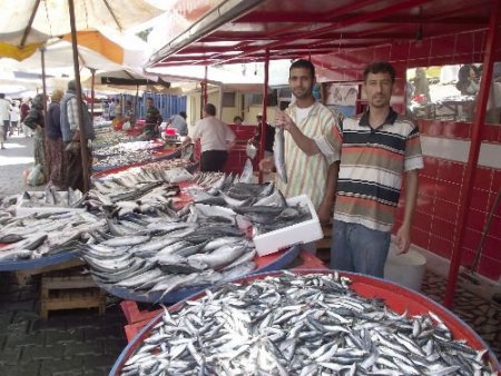 Kırmızı Et Alamayan Vatandaş Palamuta Yöneldi
