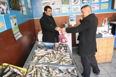 Kırmızı Et Fiyatlarındaki Artış Kars'ta Balık Satışlarını Artırdı