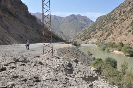 Kirpi, Hakkari'de faciayı önledi