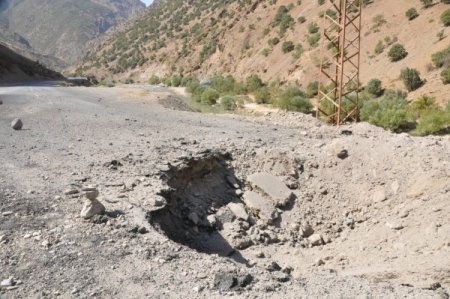 Kirpi, Hakkari'de faciayı önledi
