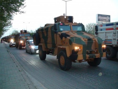 Kirpi’ler Demiryoluyla Güneydoğu’ya Gönderildi