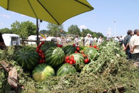 Kırsal kalkınmaya 1 milyar Euroluk AB desteği
