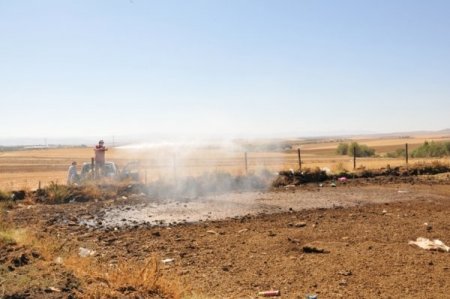 Kırşehir Belediyesi zararlı böceklere karşı ilaçlama başlattı