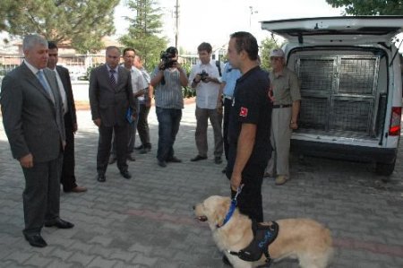 Kırşehir Emniyeti Narkotik Köpeği Gold'u Tanıttı