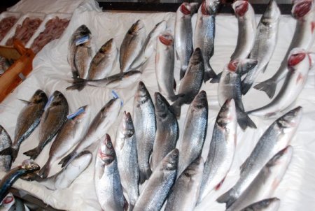 Kış Balık Tezgahlarını Da Vurdu