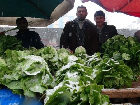 Kış geri geldi, meyve ve sebzeler kar altında kaldı