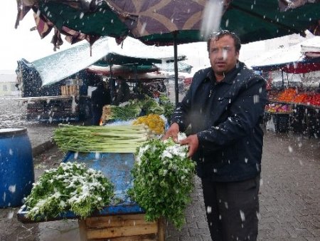 Kış geri geldi, meyve ve sebzeler kar altında kaldı