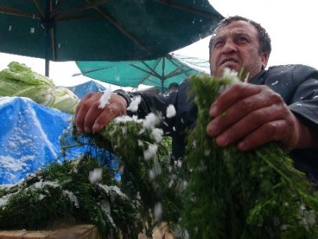 Kış geri geldi, meyve ve sebzeler kar altında kaldı