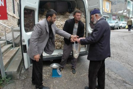 Kış yaklaştı, Taşköprü sarımsağına ilgi arttı