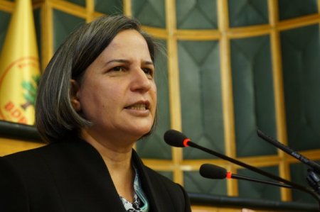 Kışanak: CHP'li vekil ırkçılık hastalığından kurtulmak için yardım istemeli