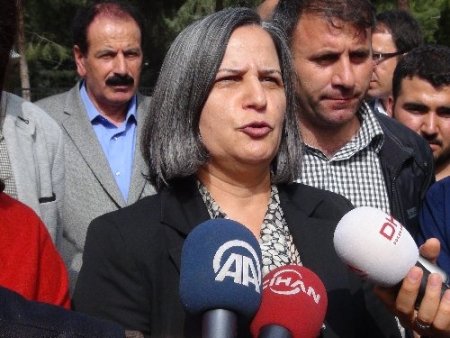 Kışanak: Listede Kürt sorununa vakıf akademisyen eksikliği var