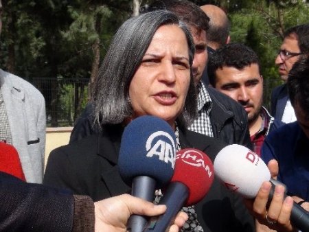 Kışanak: Listede Kürt sorununa vakıf akademisyen eksikliği var