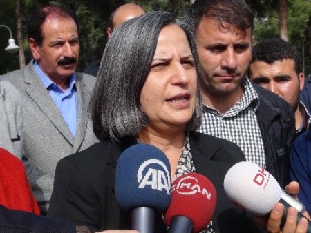 Kışanak: Listede Kürt sorununa vakıf akademisyen eksikliği var