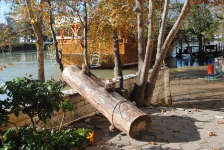 Kışlık yakacaklarını Manavgat Irmağı'ndan topluyorlar