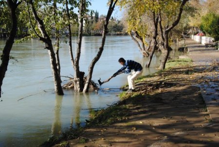 Kışlık yakacaklarını Manavgat Irmağı'ndan topluyorlar