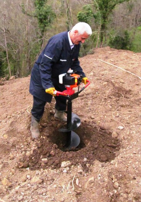 Kivi Karadeniz'de çiftçinin en önemli gelir kaynağı haline geldi