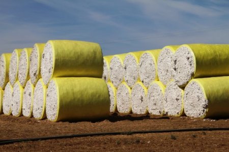 Kız çocularının okula gitmesi için 600 bin dolara biçerdöver aldı